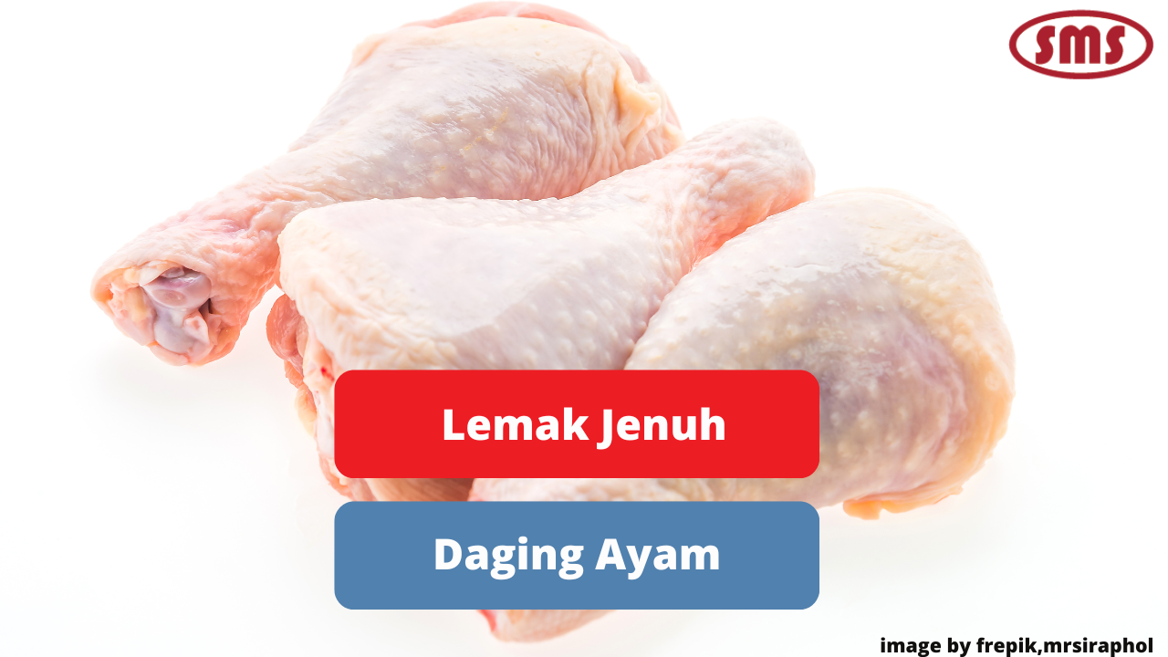 Hindari Konsumsi Berlebih Lemak Jenuh Daging Ayam